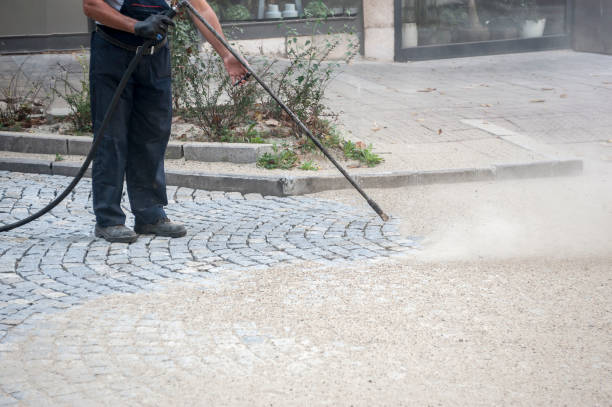 Best Driveway Cleaning and Restoration in Asbury Park, NJ